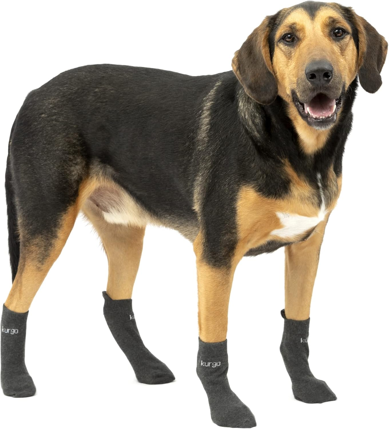 Kurgo Blaze Dog Socks - Stretch Socks for Dog Shoes - Makes Putting on Dog Shoes Easier - Pet Socks for Outdoors - Heel Tab, Fast Drying Fabric, Secure Fit - Large image number 4