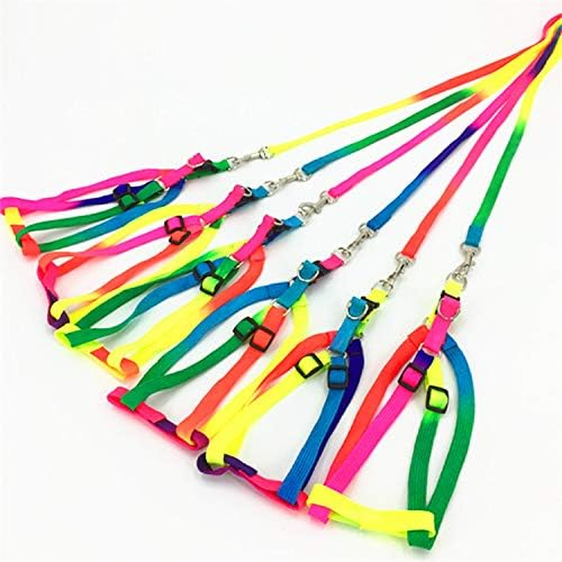 Pet Bird Harness and Leash with Buckle Adorable Rainbow Design Safe Parrot Leash Pet Harness Outdoor Adjustable anti Bite Training Rope for Macaw Large Size Bird (Color, 1.0 * 120CM) image number 1
