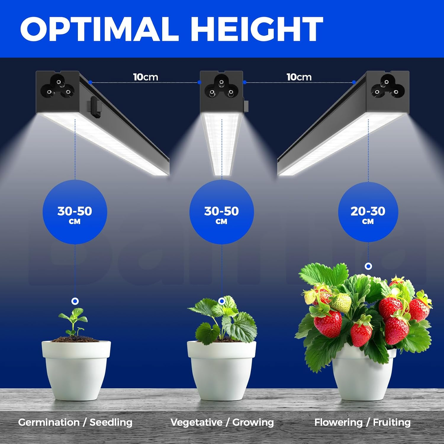 Barrina T5 1FT Plant Grow Lights, 5000K Full Spectrum Plant Lamps, 10W(2 X 5W), Magnetic Black Cover LED Plant Growing Lamps, Linkable, Plug and Play, 2 Packs image number 6