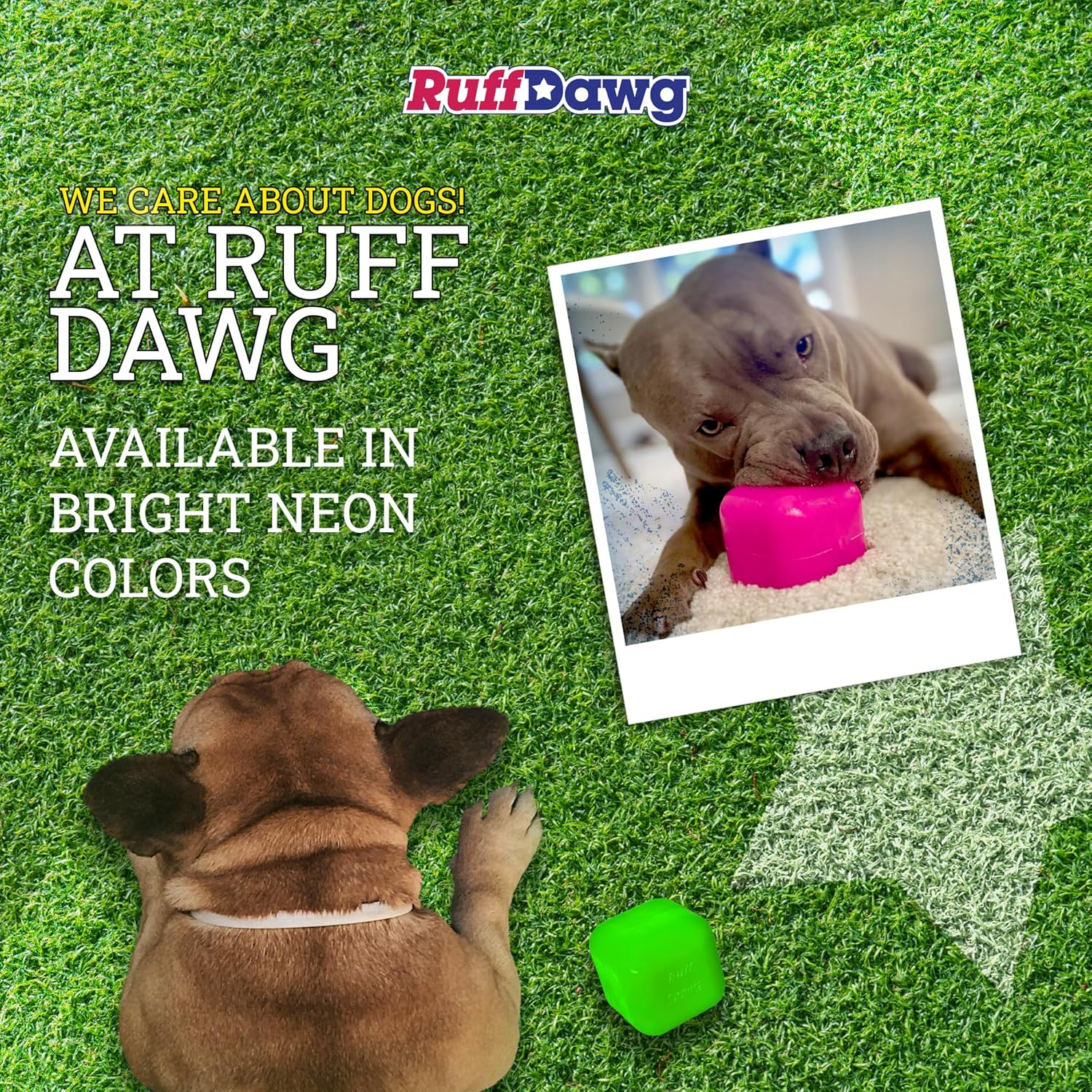 Ruff Dawg Indestructible Dawg-Cube Dog Toy - Crazy Bouncing Toy, Retrieving, Fetch, Made in the USA, Floats, 2.5 Inches Square, up to 40Lbs image number 1