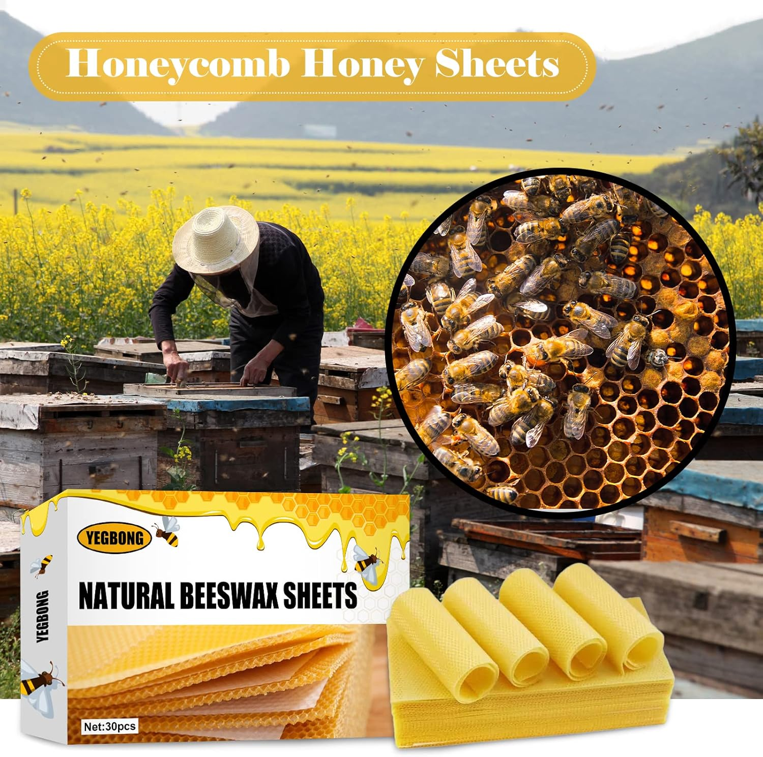 Beekeeper Supplies, 10PCS Bee Honey Sheets Beeswax Sheets Beehive Foundation Honeycomb Honey Frame Portable Wild Bee Beekeeper Tool for Beekeeper Supplies Hive Tool Candle Making image number 4