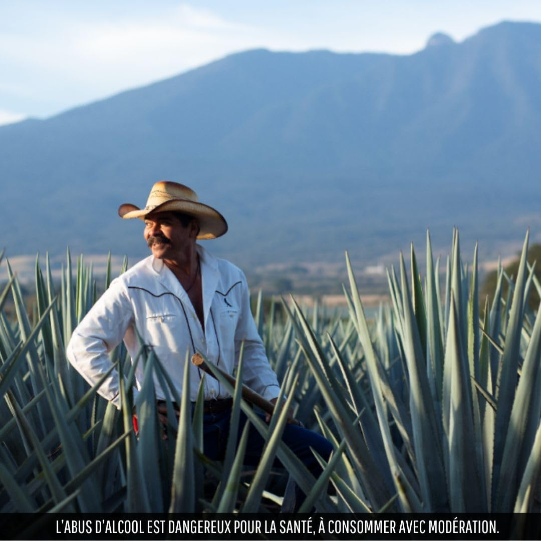 Jose Cuervo Tradicional Reposada Tequila image number 1