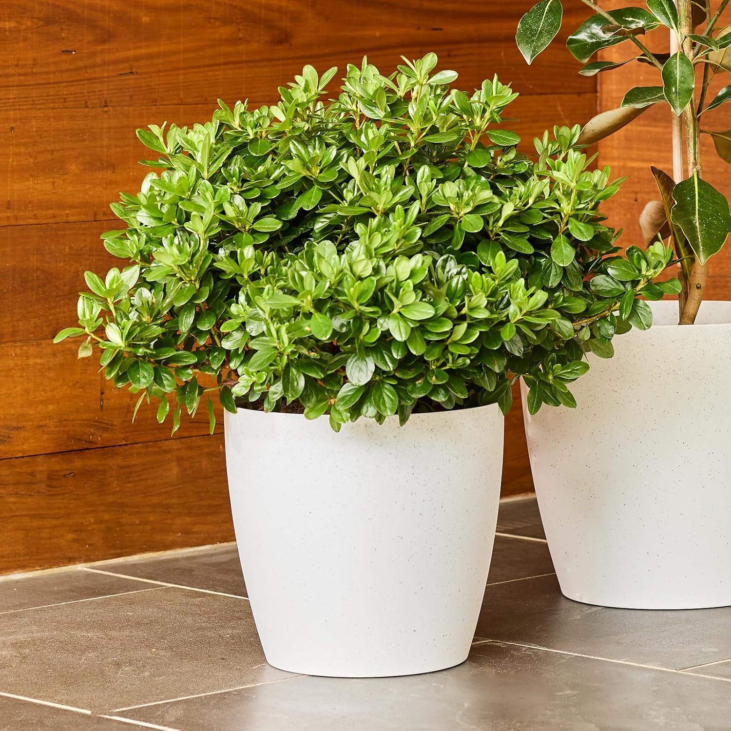San Remo Pot White Terrazzo 33Cm image number 4