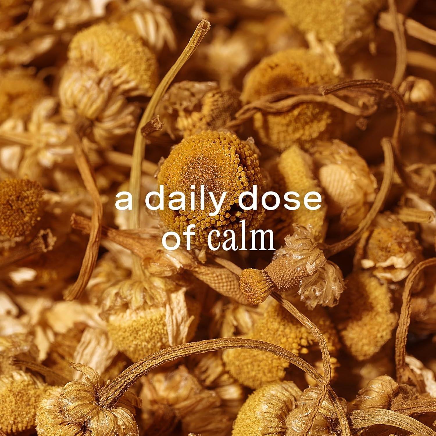 Addison Rae Fragrance Chill - Mood-Boosting Fragrance Gift Set for Women - Chamomile and Pear Blossom Notes - Eau De Parfum and Body Spray - 2 Pc image number 2