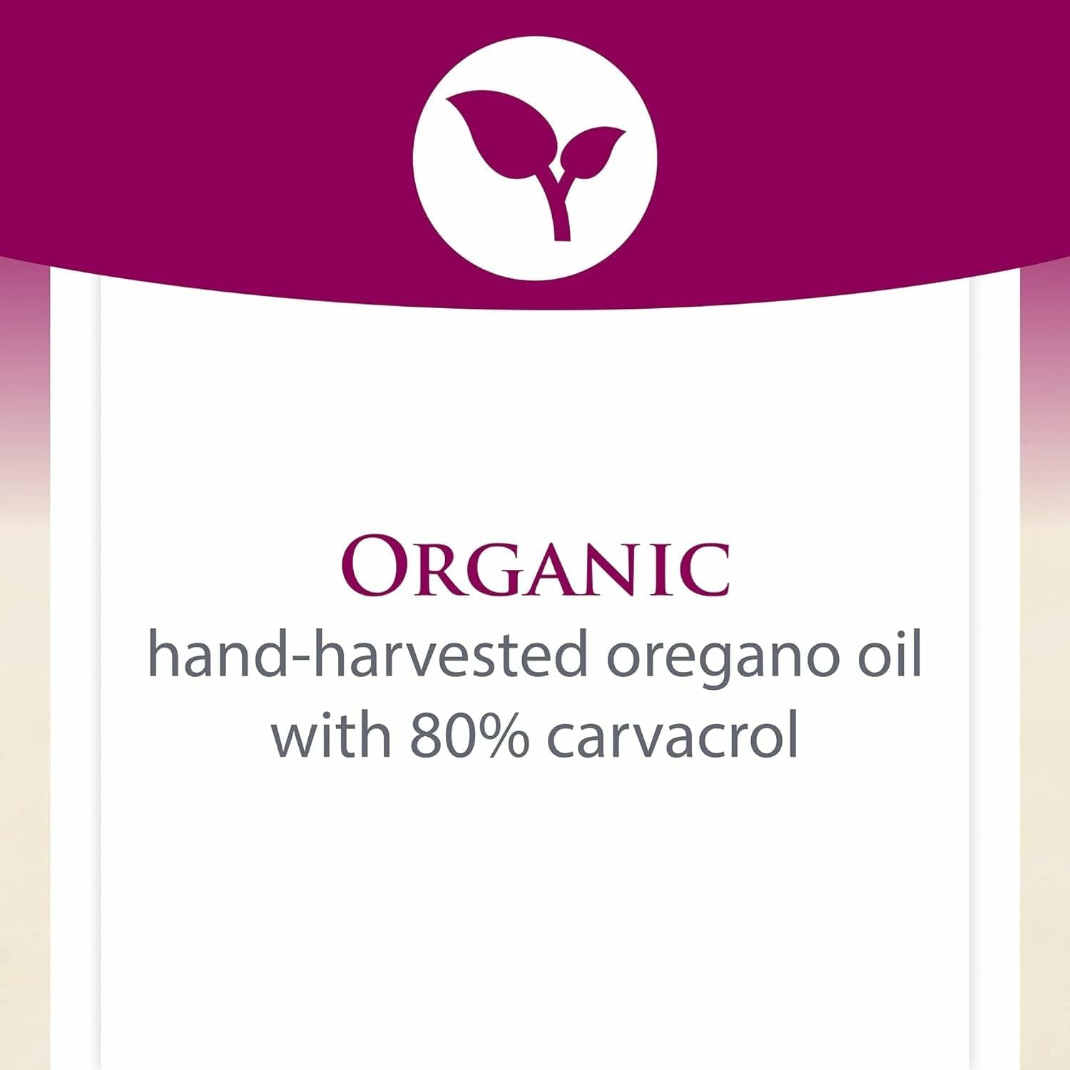 Natural Factors Organic Oil of Oregano, 180 Mg, 30 Softgels image number 5