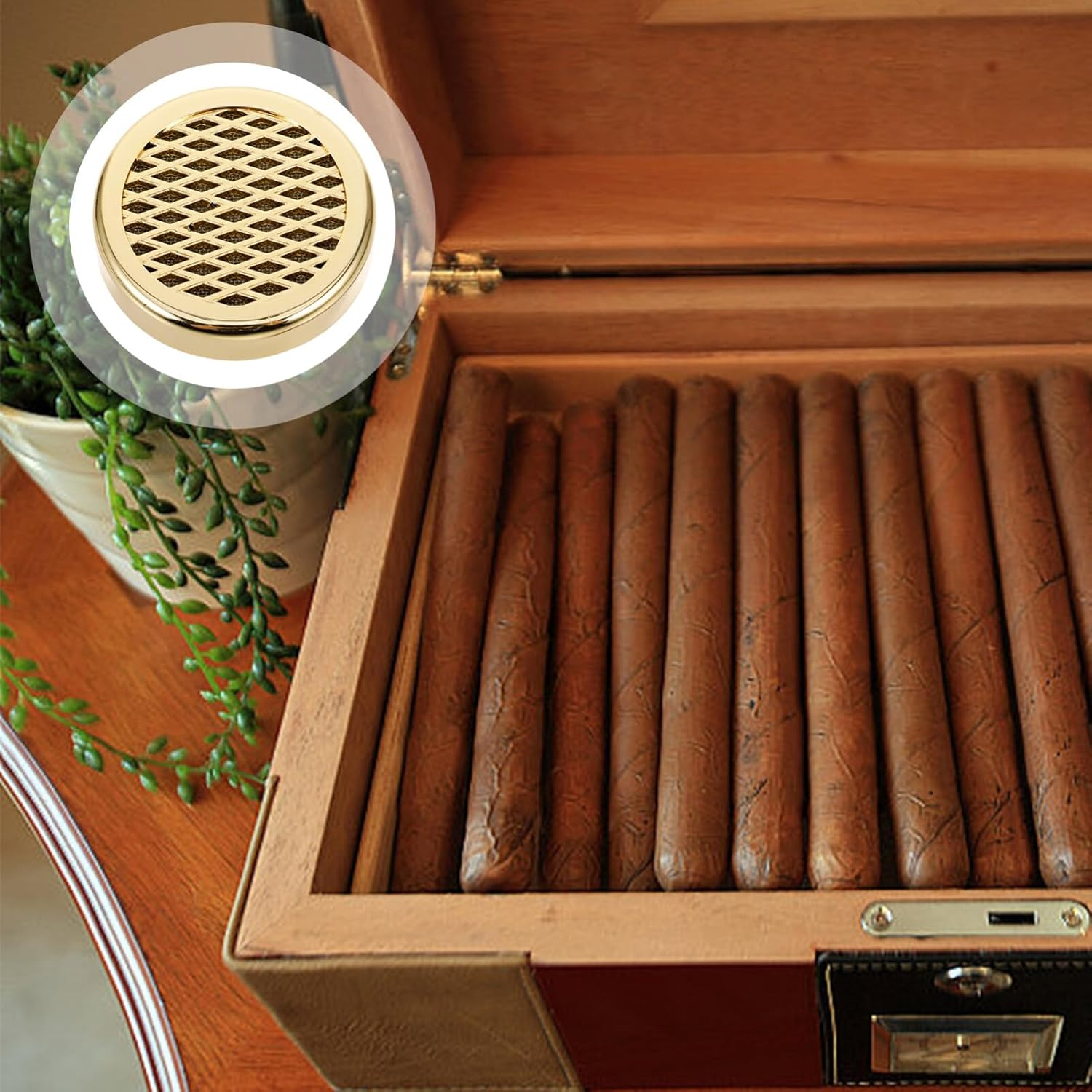 Iplusmile Moisturizer Humidifer Humidor Accessories Humidor Supplies for Humidify Humidor Stick Humidor Humidify Stick Moisturizing Abs Humidifier image number 1