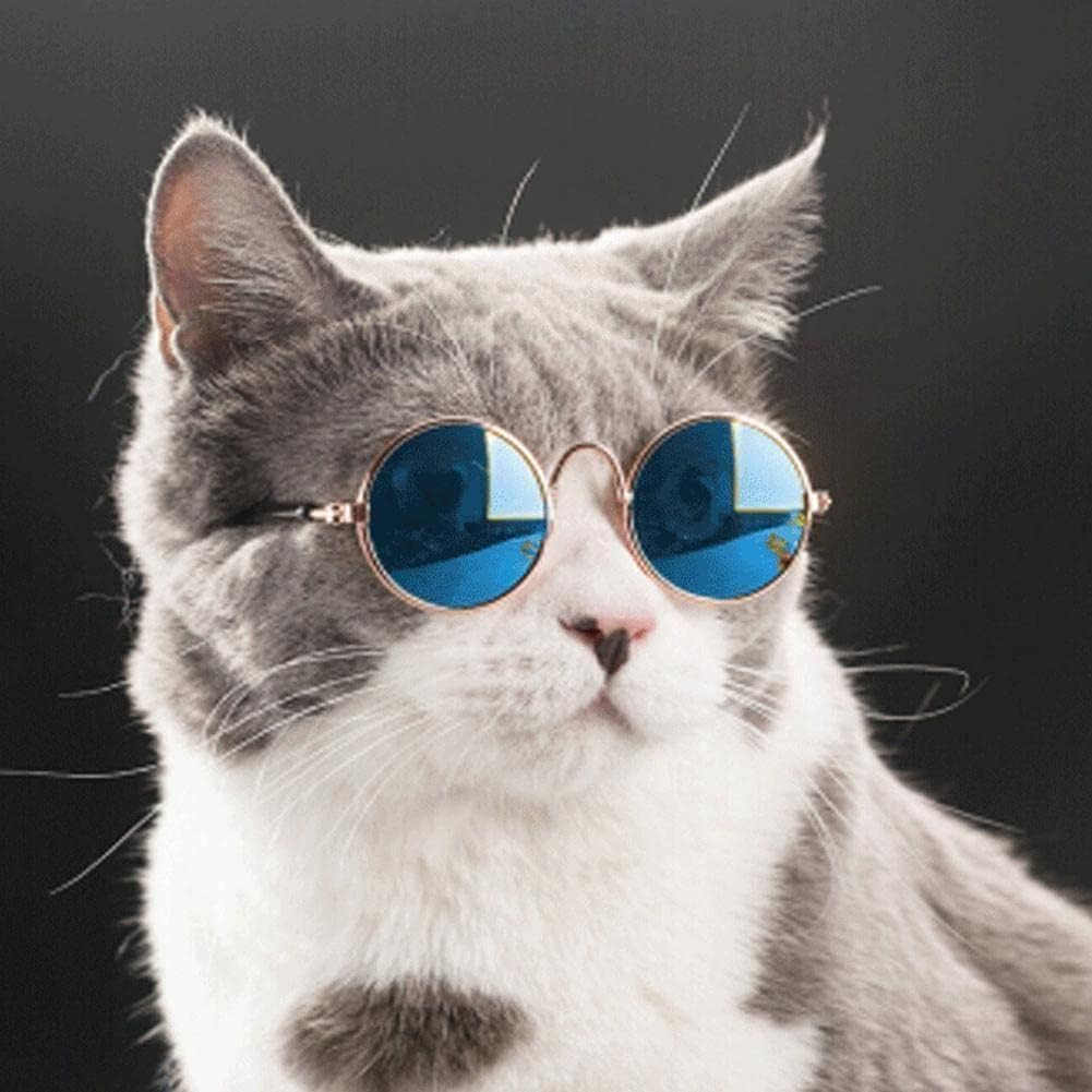 Pet Sunglasses Dog Products Lovely Vintage round Reflection Eye Wear Glasses for Small Props Dog Photos J8K3 Pet Accesso - Colorful Reflect image number 6