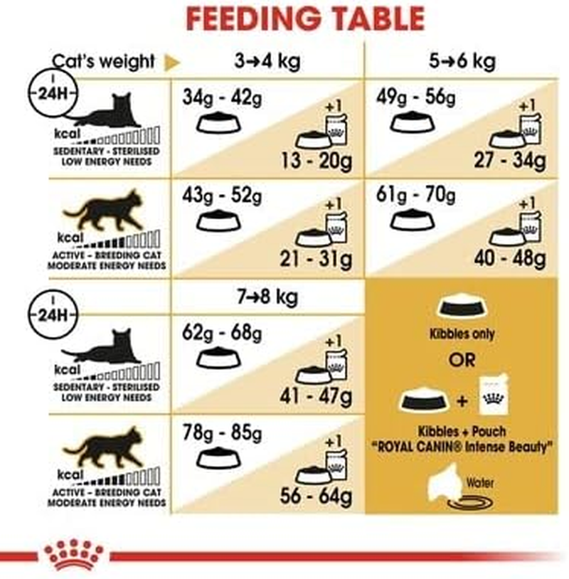 Royal Canin Ragdoll Adult Cat Dry Food 2 Kg image number 2