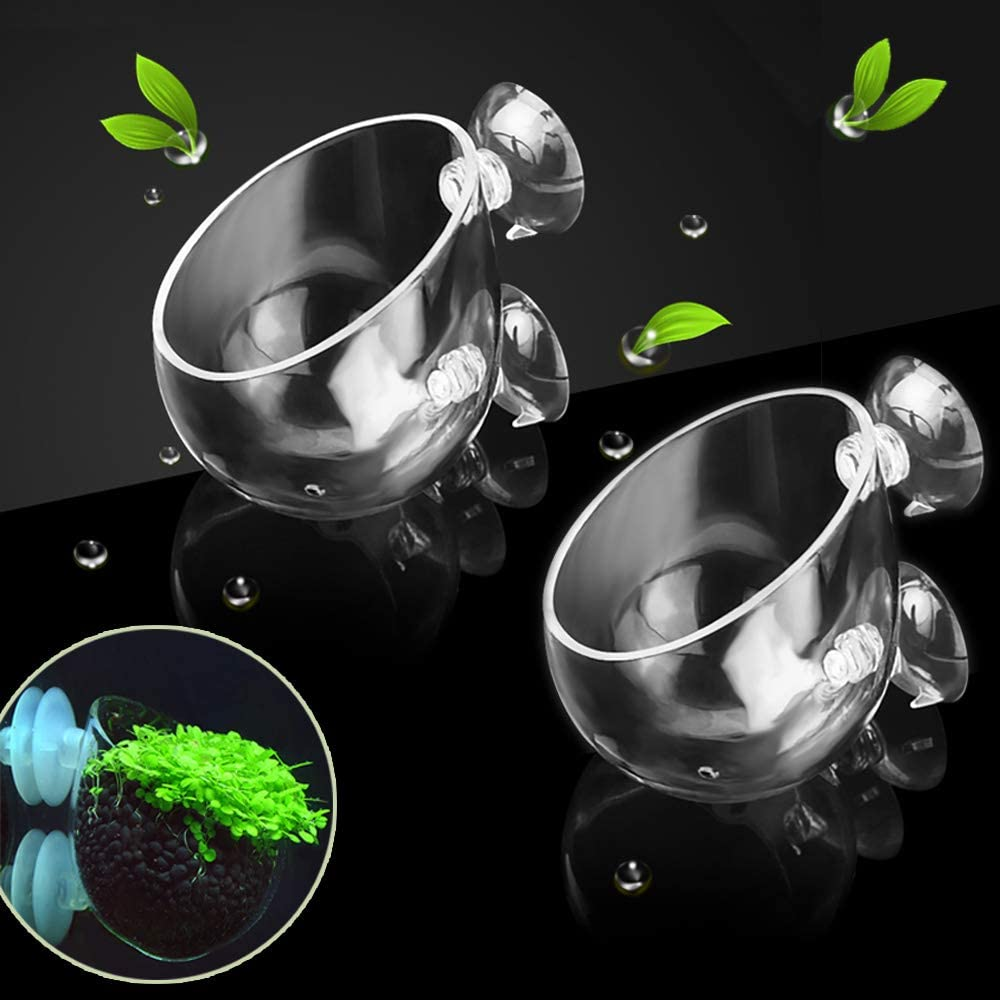 Capetsma 2X Crystal Glass Aquatic Plant Pot, Aquarium Aquatic Planter, Red Shrimp Live Plants Fish Tank Glass Holder with 4X Suction Cups for Aquarium Aquascape Decoration image number 5