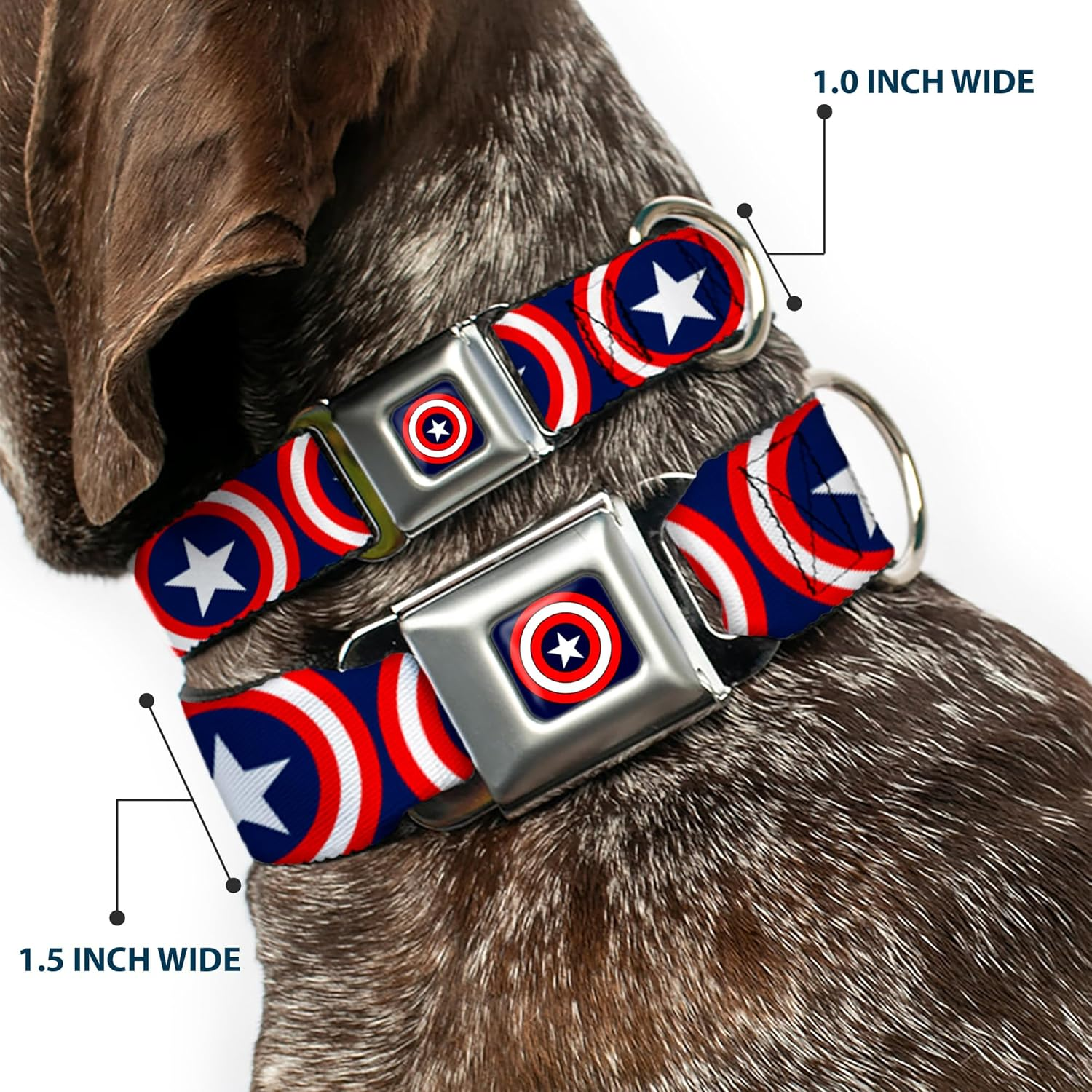 Buckle-Down Seatbelt Buckle Dog Collar - Captain America Shield Repeat Navy - 1" Wide - Fits 15-26" Neck - Large image number 2