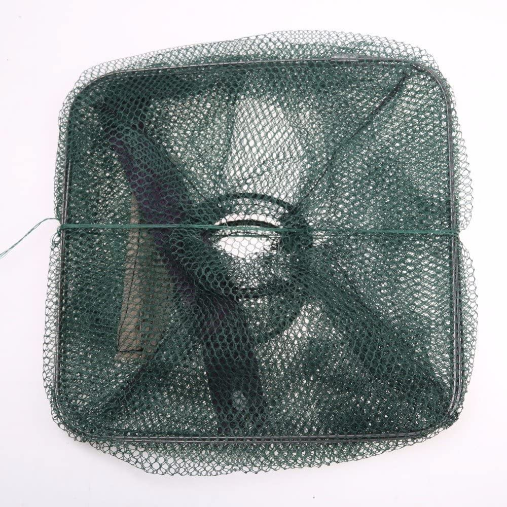 Bait Traps Fishing Nets, Foldable Casting Bait Traps Cage Baits Cast Mesh Trap for Fishes Shrimp Minnow Crayfish Crab Fishing Supplies Tool image number 1