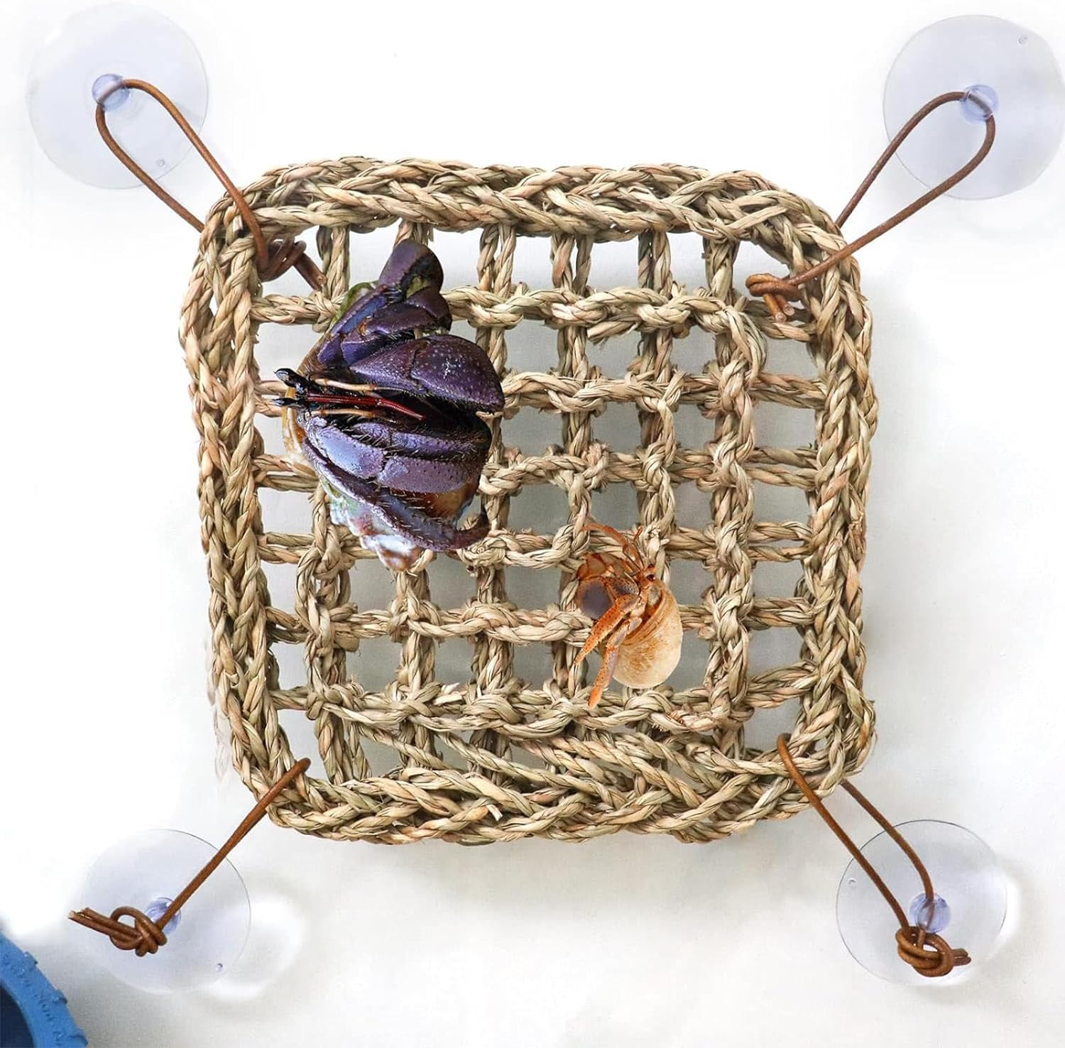 XUTONG Hermit Crab Climbing Toys, Seagrass Mat Lizard Hammock with Suction Cup, Natural Seagrass Woven Net, Tank Accessories for Small Reptiles Hermit Crab Lizard Hamster Guinea Pig Rats 7.1 X 7.1 In