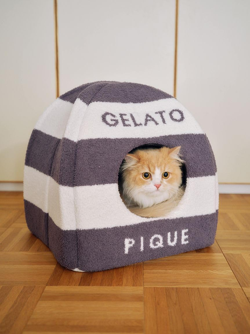 Gelato Pique Cat & Dog PAGG259113 NVY F Baby Moco House image number 4