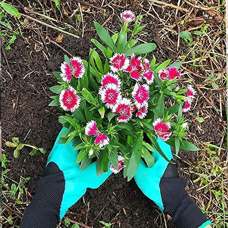 Garden Gloves with Claws, Waterproof and Breathable Garden Gloves for Digging Planting, Best Gardening Gifts for Gardening Enthusiast