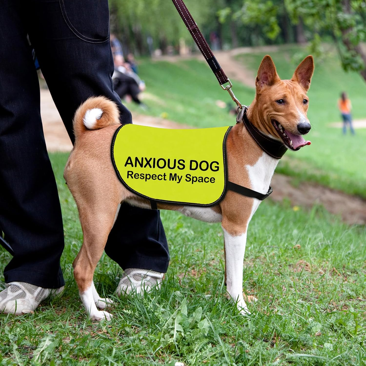 Anxious Dog Jacket - Respect My Space Walking Slogan Warning Vest (Small) - Anxious Dog Space-Medium image number 5