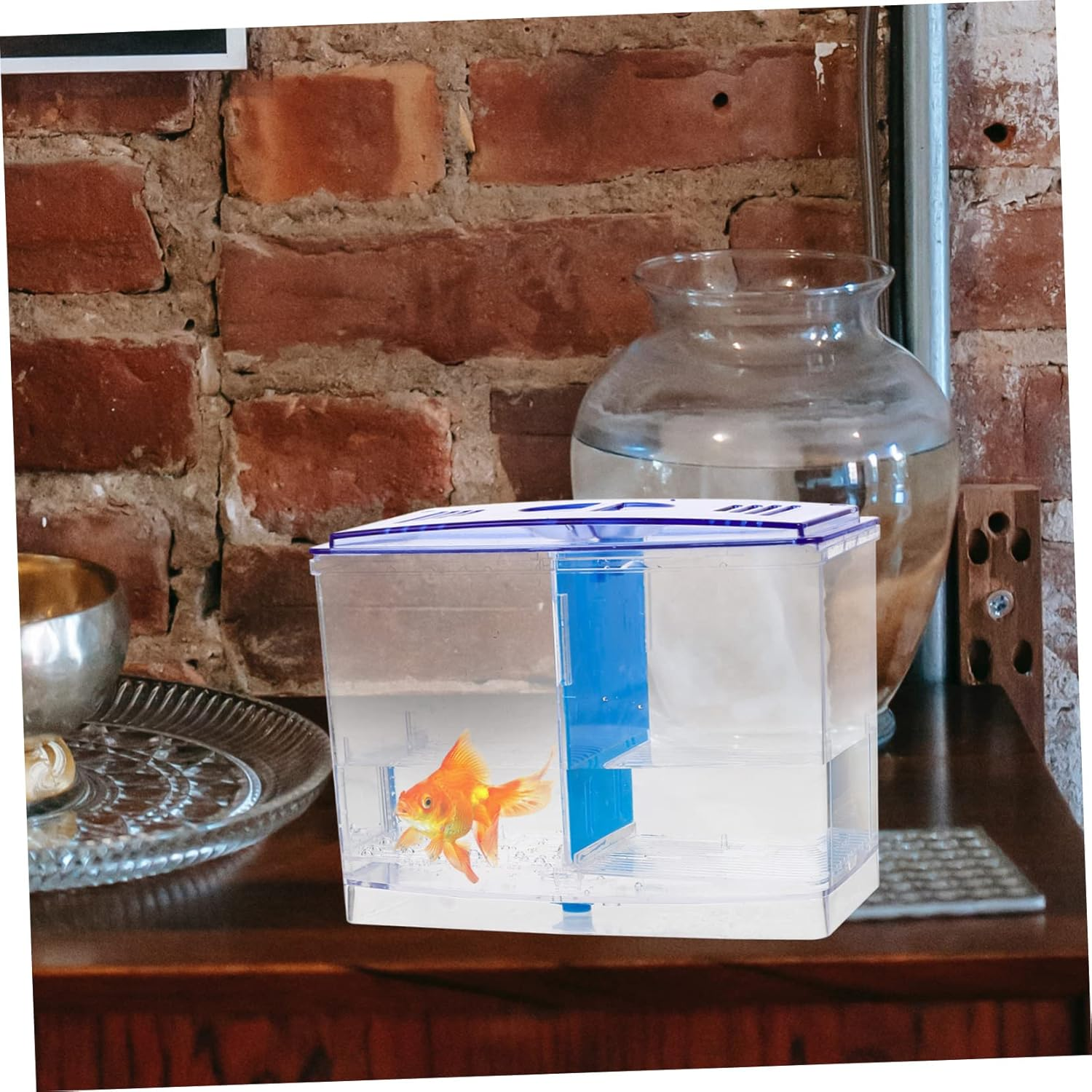 GRIRIW Aquarium Box for Betta Fish Removable Divider for Easy Separation Acrylic Breeding Box for Aquatic Pets Transparent Design for Viewing for Hatching and Nursing Fry image number 3