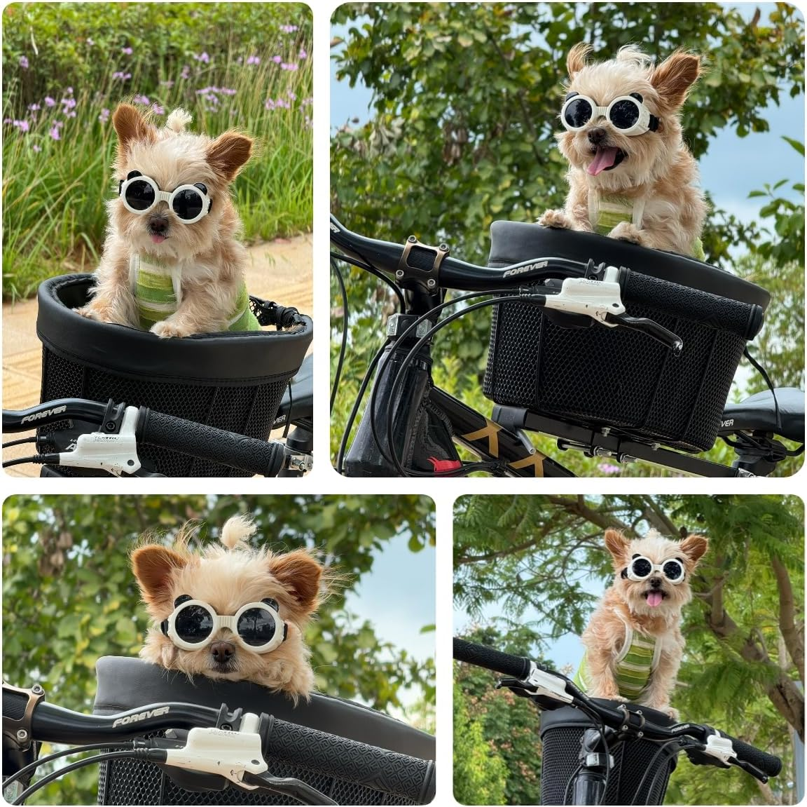 Billionchains Dog Goggles for Small Dog Uv/Wind/Dust Protection Dog Sunglasses for Small Breed with Adjustable Strap - White