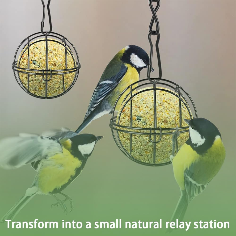 4Pcs Fat Ball Bird Feeders, Hanging Metal Bird Holder with S-Shaped Hooks for Outdoor Garden Wildlife Birds Finch Sparrow Robin image number 3