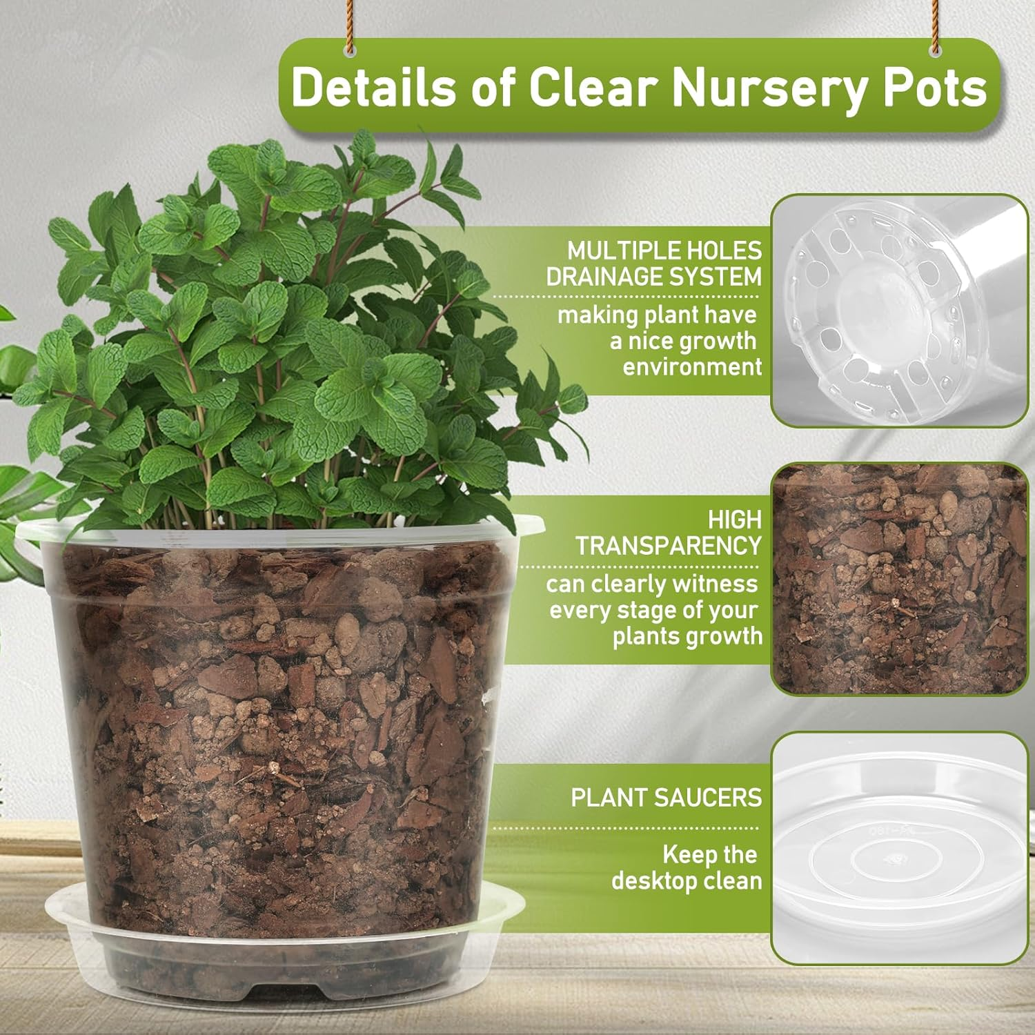 TAQIXI 3/4/5/6 Inch Clear Nursery Pots with Drainage Holes and Saucers, 20 Pack Clear Plastic Plant Pot, Plant Pot Seed Starter Pots for Succulents