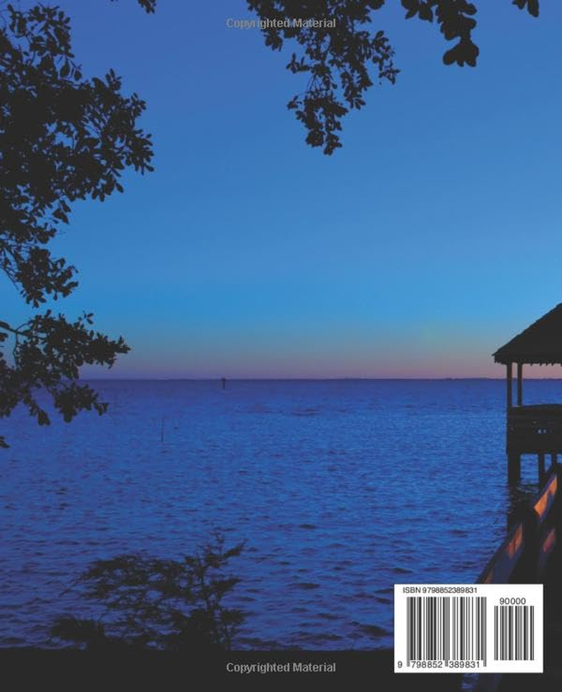 Understanding the Legality of Offshore Tax Havens: a Comprehensive Guide to Living with Tax Efficiency | Unlock the Benefits of Offshore Opportunities and Achieve Financial Freedom