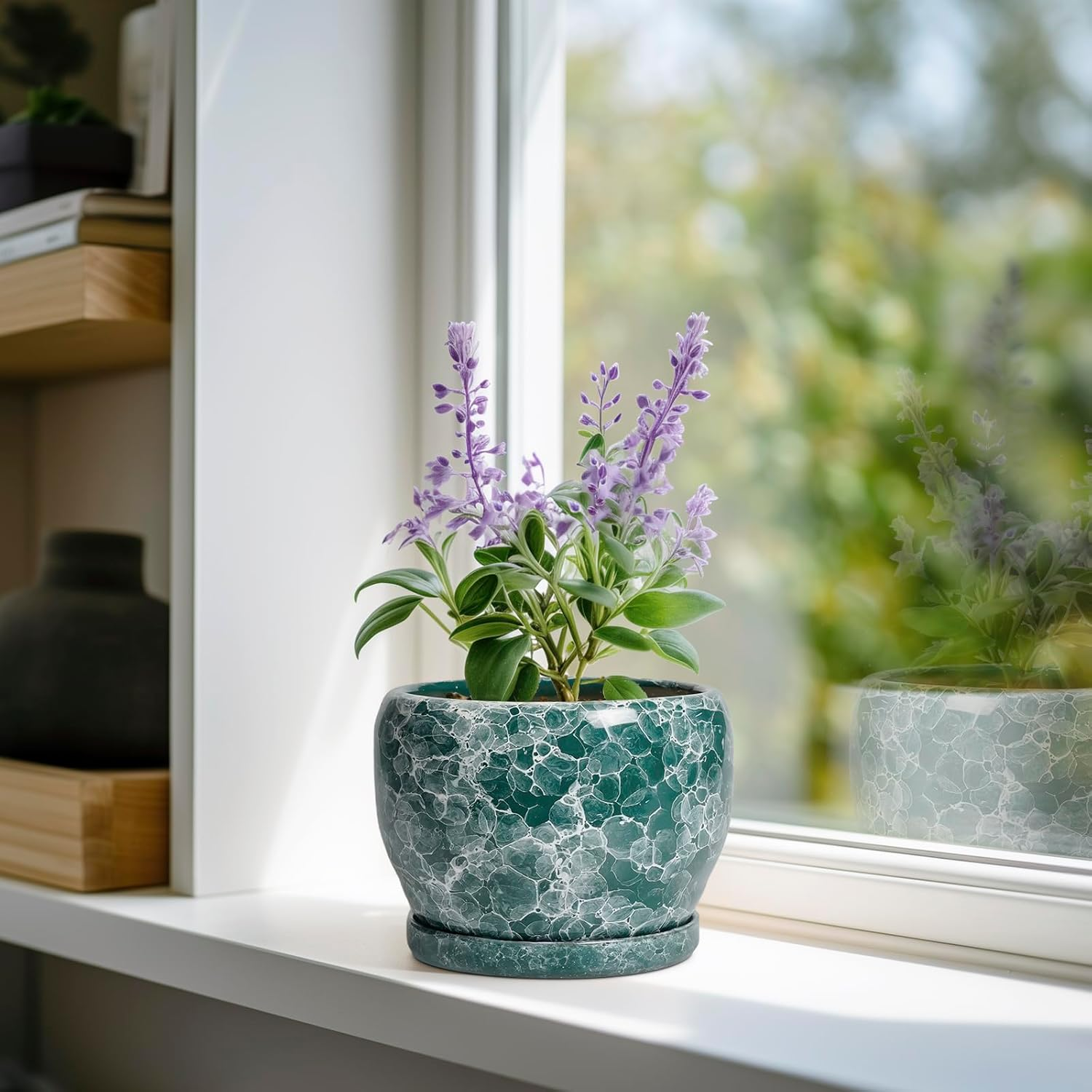 SQOWL Ceramic Plant Pot - 6 Inch Planter with Drainage Hole and Saucer, Succulent Pot round Planter for Indoor Plants Outdoor, Green image number 3