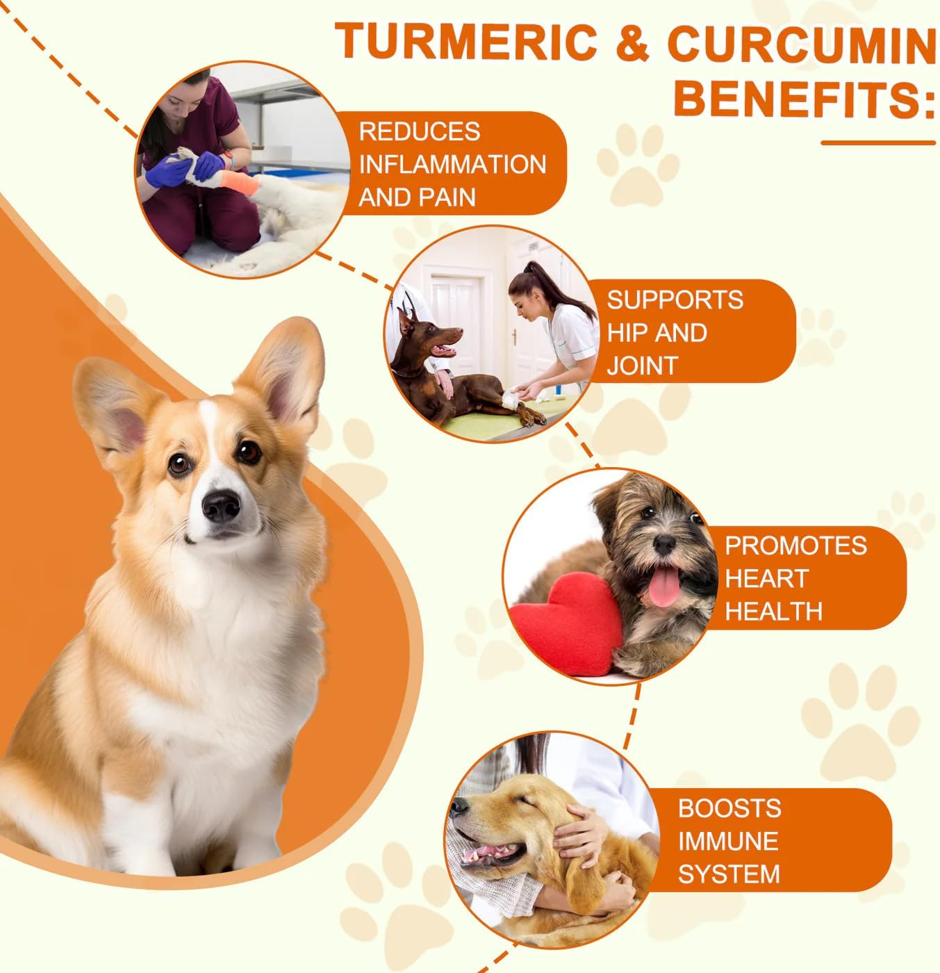 Turmeric & Curcumin Chewable Tablets for Dogs | Supports Joint, Digestive, Heart, and Liver Health | Natural Anti-Inflammatory & Antioxidant | 180 Tablets image number 5