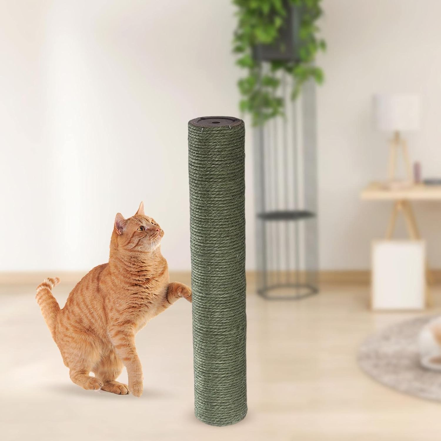 1X Scratch Post Refill Pole Protects Cat Nails Sisal Mat Dia 7Cm Cat Tree Scratcher Post Playing Cat Scratching Post Replacement, Beige H 12.5CM