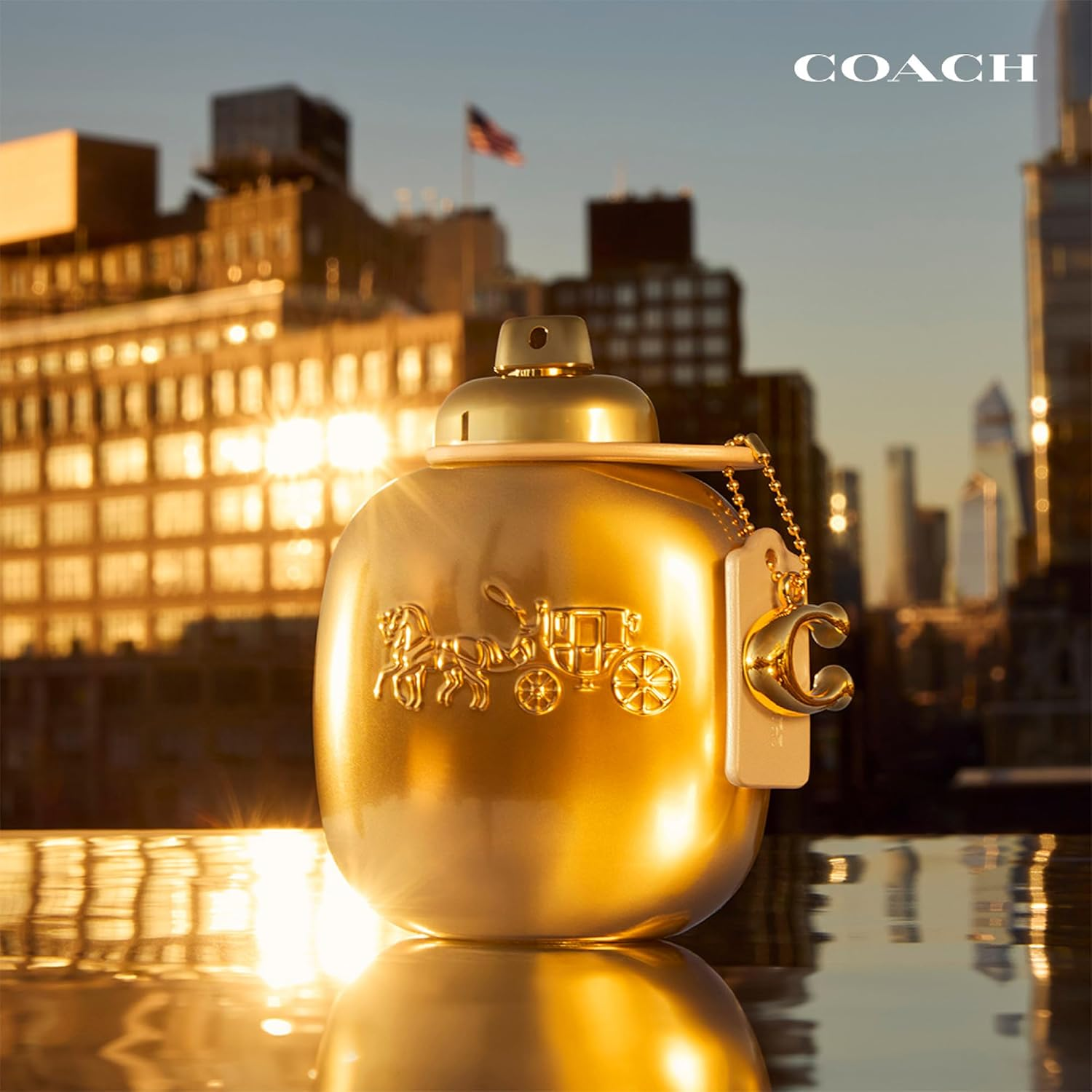 COACH GOLD PARFUM 30ML image number 1