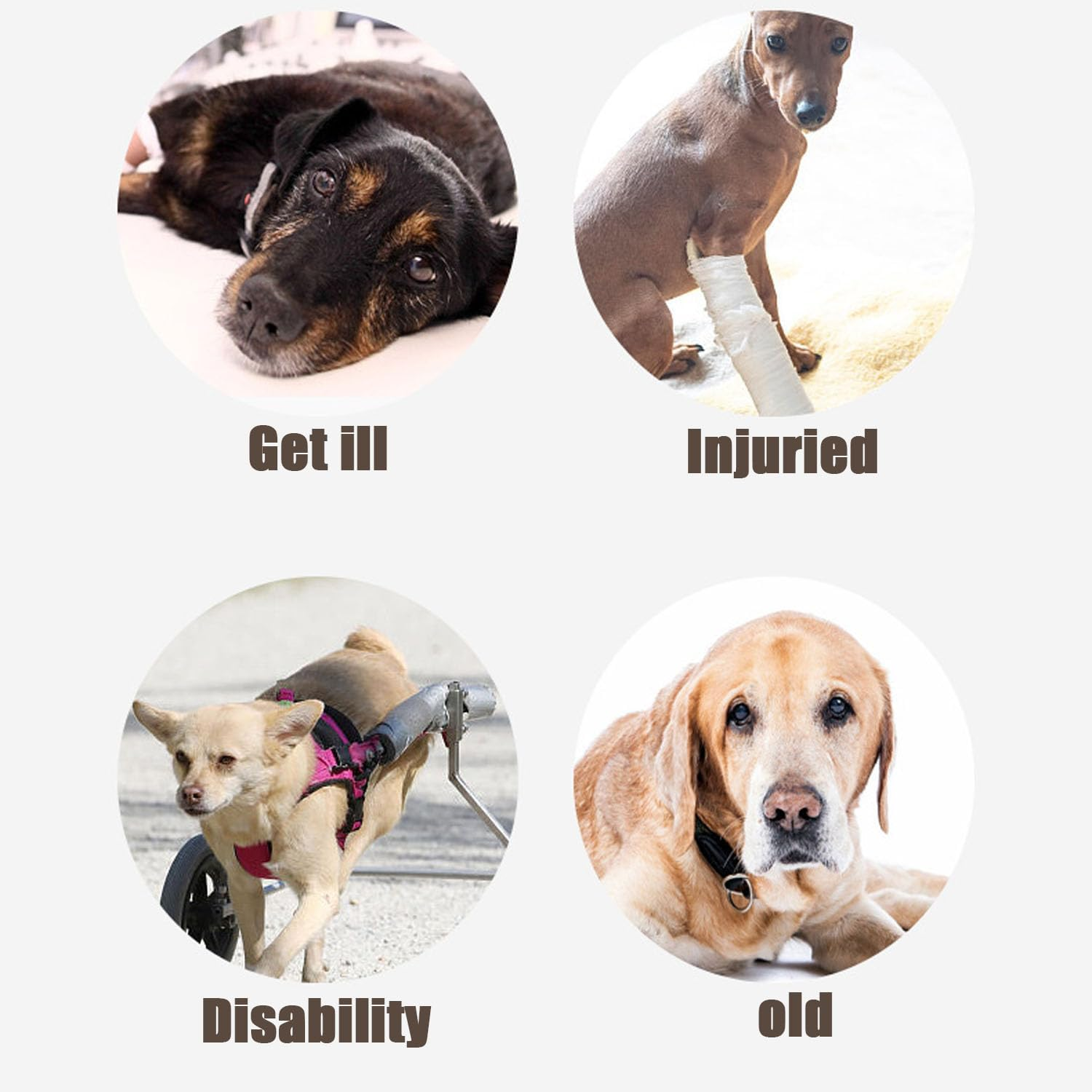 Shengsenfu Dog Lift Sling Support Harness - Hip & Back Legs Lifting Aid for Elderly, Disabled, or Injured Dogs - Adjustable, Reflective, Portable - Small, Black image number 4