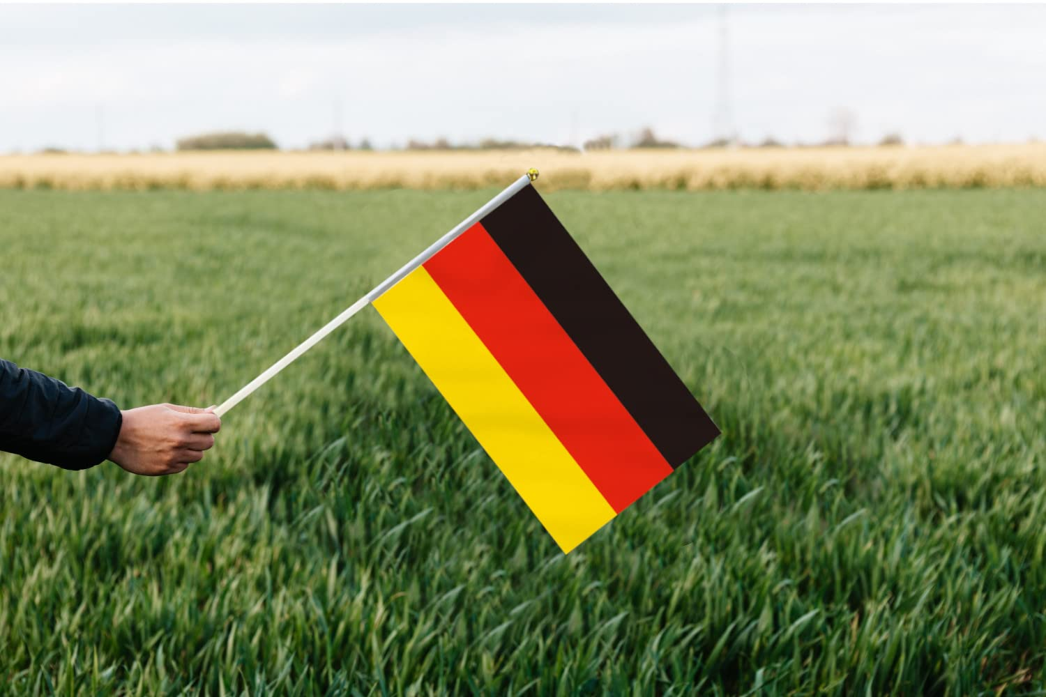 10 PCS Handheld Germany Flag,8.5&times;5.5 Inch Hand Held Mini German Flags Banner for Indoor Outdoor Parade Waving the Tlag and Shouting image number 2