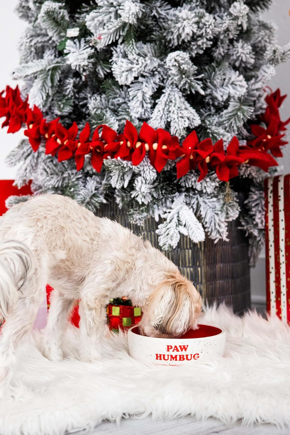 Pearhead Paw Humbug Pet Bowl, Dog Water and Food Dish, Christmas Holiday Dog Pet Bowl, Medium image number 1