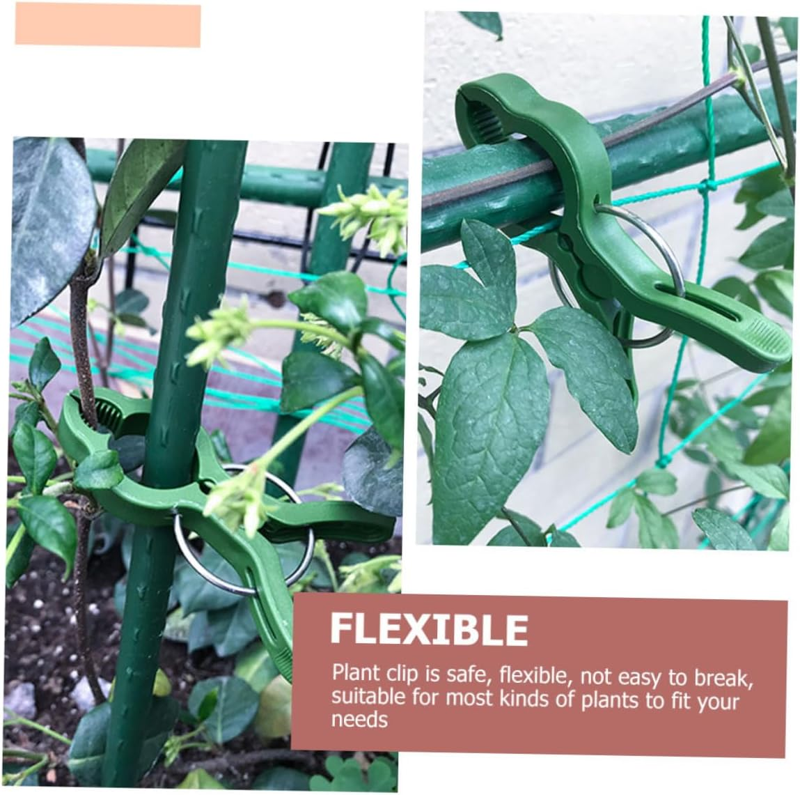 BCOATH 60Pcs Garden Plant Clamps and Tomato Support Clips for Climbing Plants Large Green Orchid Vine Clips Set Sturdy Fixing Clamps for Outdoor Gardening and Vegetable Vine Support image number 4