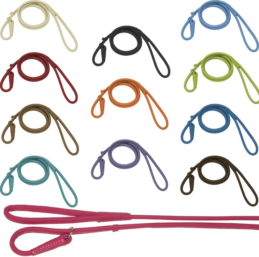 Dogline Soft and Padded round Leather Slip Lead for Dogs (W 3/8" L 72", Beige) image number 1