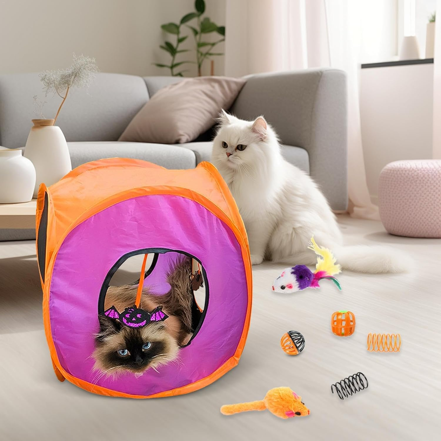 Kitten Starter Kit Bundle | Cute Interactive Cat Toy Set - Cute Cat Cube Interactive Toy Set, Halloween Kitten Accessories Cat Toy Box for Indoor Pets - 14Pcsa image number 3