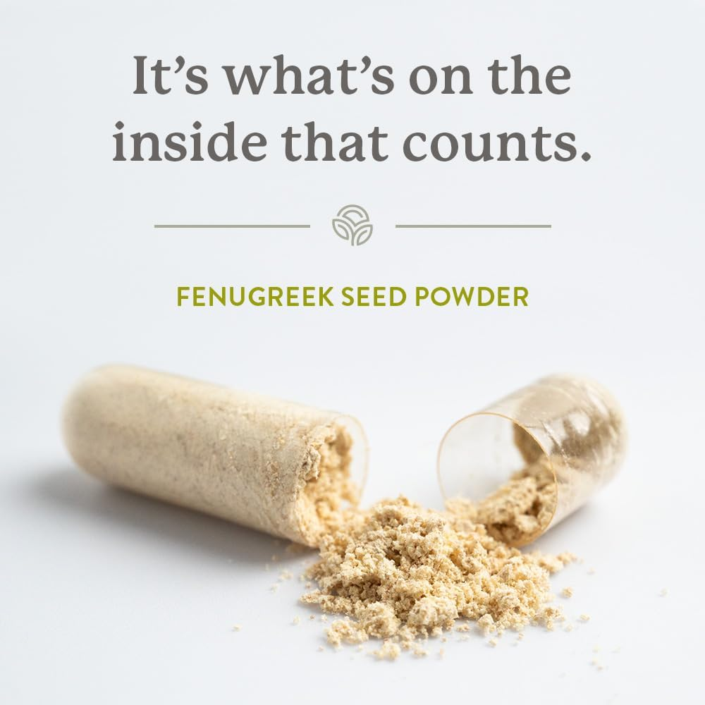 Nature'S Sunshine Fenugreek - Traditionally Used in Western Herbal Medicine to Increase Breast Milk Production - 100 Capsules image number 1