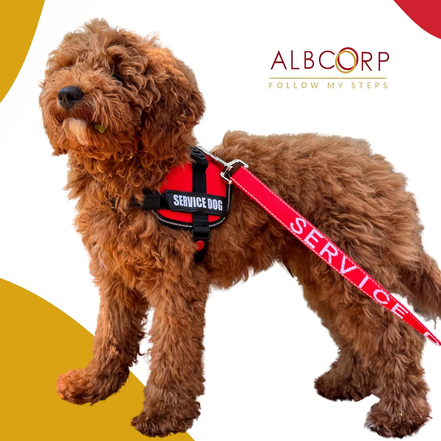ALBCORP Service Dog Vest Harness &ndash; Reflective, No-Pull Harness with Handle & Comfy Mesh Padding &ndash; Sizes XXS-XL for Puppies, Small & Large Dogs &ndash; 2 Removable Service Patches Included(Xxs, Red)