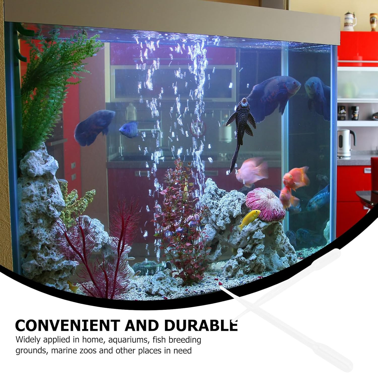 Balacoo 10Pcs 3Ml Plastic Coral Syringe Tubes Manual Shrimp Liquid Feeders for Aquarium Fish Feeding Pet Supplies image number 3