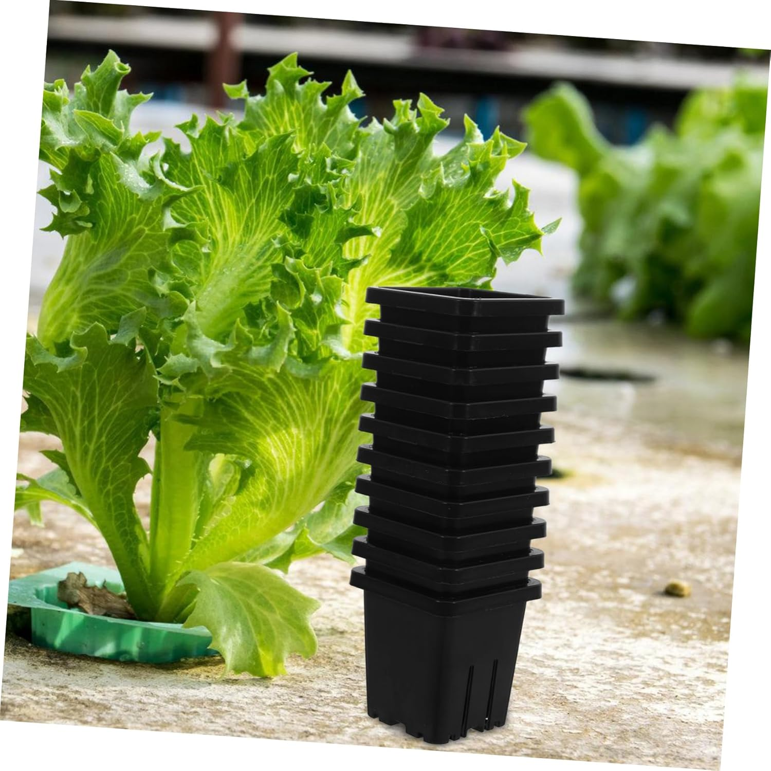 SUPVOX 10Pcs Plastic Hydroponic Net Pots Cultivation Baskets for Vegetable Indoor Gardening Reusable Mesh Planter image number 1