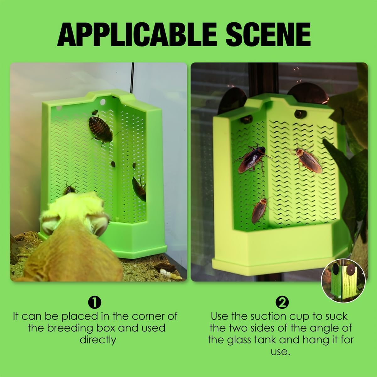 AIMALL Dual-Size Insect Feeder for Reptiles &ndash; Suction Cup Mounted Lizard and Gecko Feeding Station, Ant-Escape Design, Suitable for Various Climbing Pets image number 3