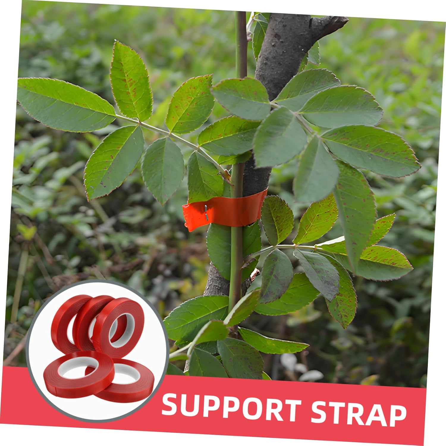 Levemolo 10Rolls Efficient Plant Tying Machine Garden Stretch Tie Tape Shrub Tie Stem Grafting Tape Gardening Hand Tools PVC Material Multiple Applications image number 4