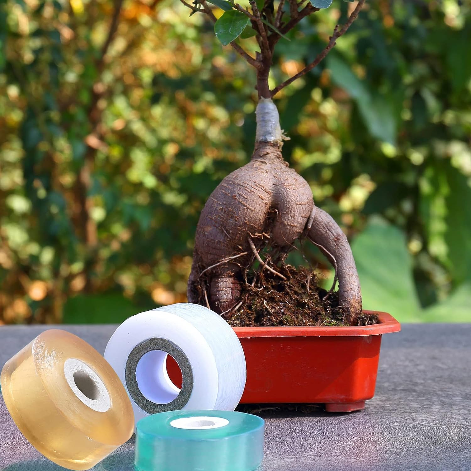 Garden Grafting Knife,Stainless Steel Double Blades Rosewood Handle Pruning Knife,3 Grafting Tape Buddy Tape for Fruit Trees,Gardening Grafting Tool image number 1