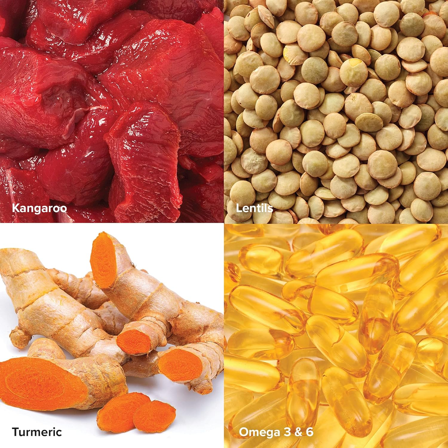 Prime100 Kangaroo Lentil Turmeric Dog Food 2.2 Kg