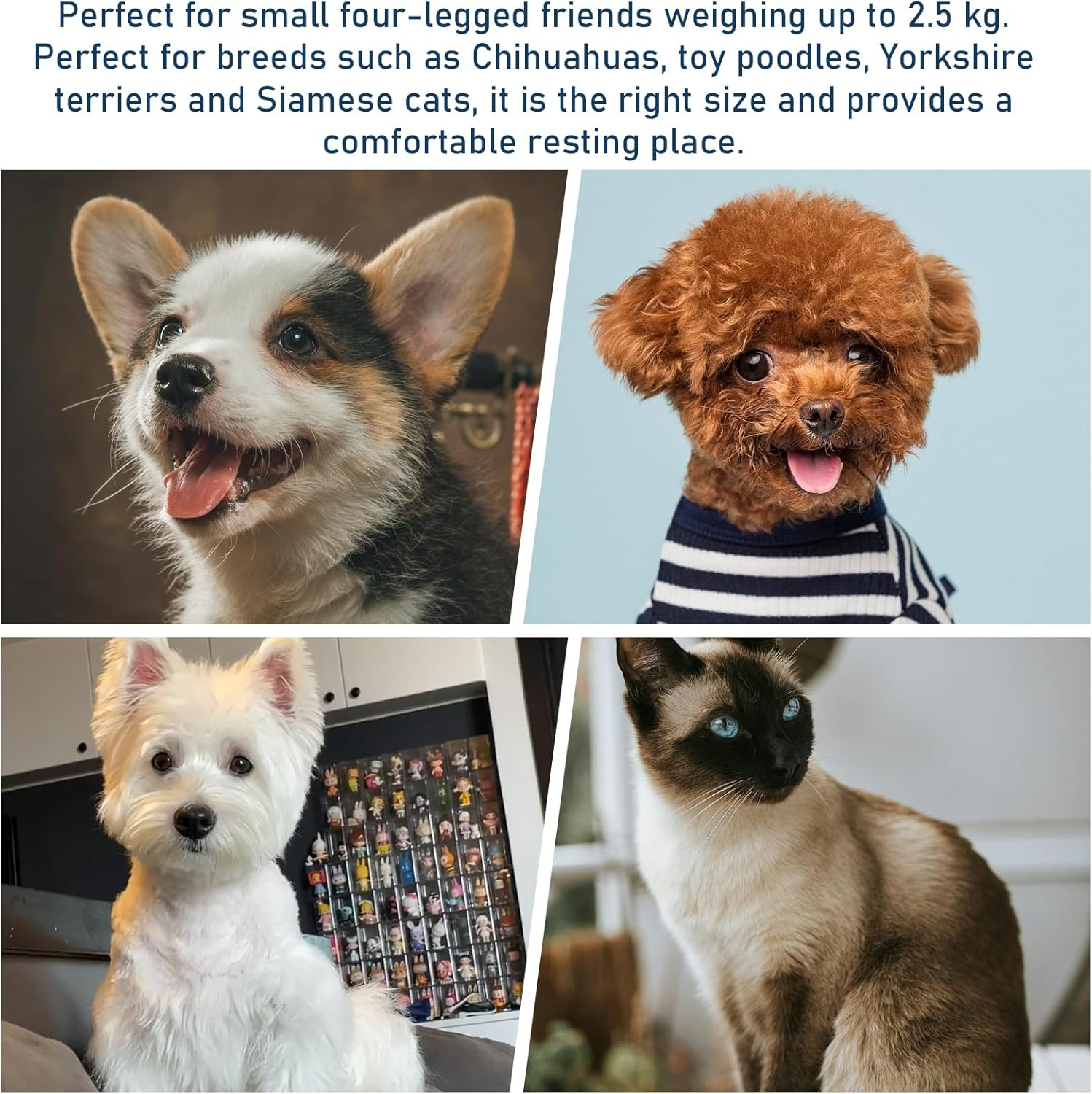 WIYETY Cat House, Dog House for Indoor, Foldable Cat Bed Cave, Cat Cave with Non-Slip Base, Waterproof and Warm Dog Cave, Cat Beds for House Cats (Blue, S, 37 X 32 X 30 Cm) image number 1