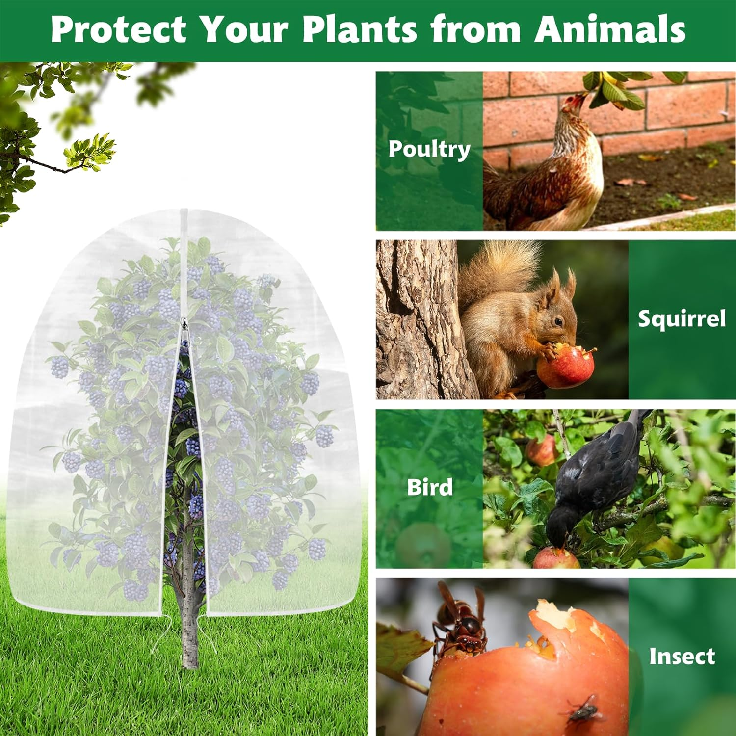 OZMI Blueberry Bush Netting Cover Large Fruit Tree Garden Plant Protector with Zipper & Drawstring, Plant Covers Protection Mesh Net Bags for Fruit Tree Blueberries Bush Tomato Flowers 8 X 8 FT(2 Pcs) image number 3