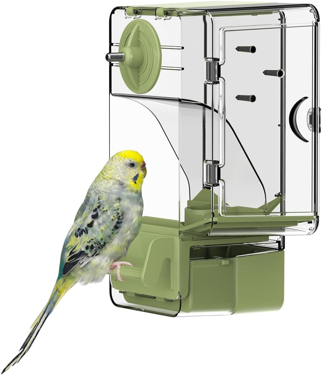 Automatic Bird Feeder, No Mess Bird Cage Feeder with Perch Multi-Functional Holder for Fruits Vegetables for Parakeet Canary Cockatiel Finch (Green)