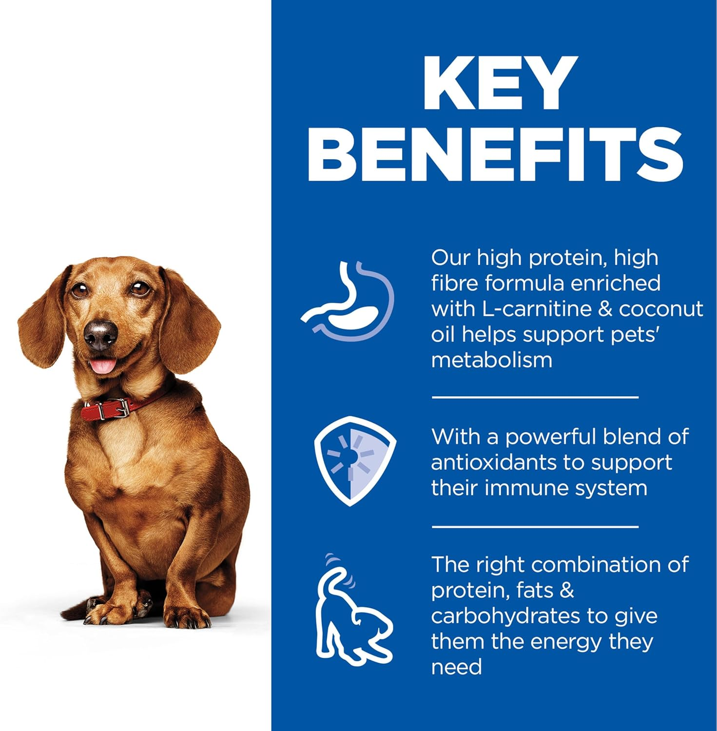 Hill'S Science Diet Perfect Weight Small & Mini with Turkey Canned Dog Food 12X200G image number 2