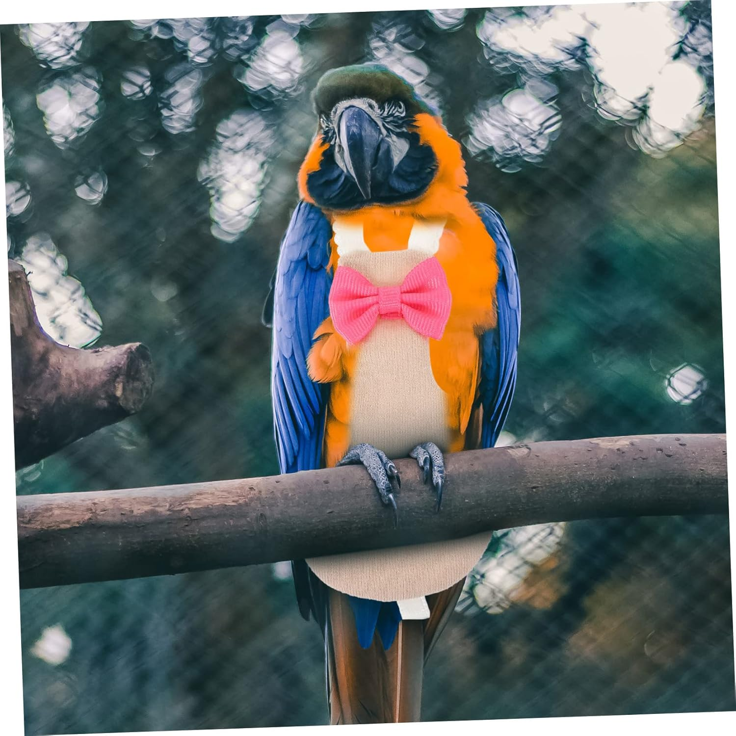 WOONEKY Flying Bird Diapers Bird Costume Parrot Nappies Flight Suit Bird Diaper Suit Parakeet Flight Bird Parrot Diaper Clothes Pigeon Diaper Long Tail Cotton Pigeon Supplies