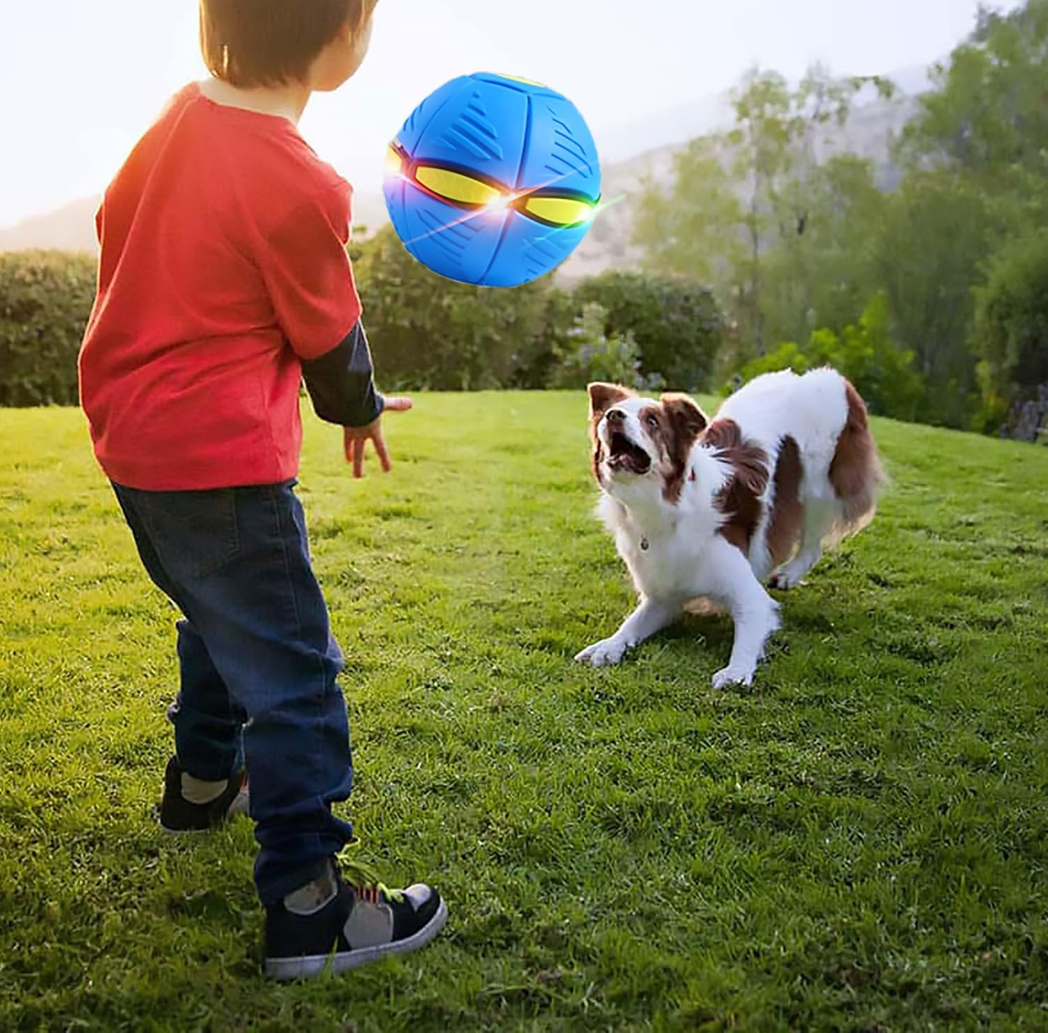 Pet Toy Flying Saucer,Dog Toy Deformation of Foot Pressure,Portable Dog Flying Saucer Toy,Interactive Flying Ball for Dogs,Outdoor Sports Suitable for Small Dogs-Blue image number 1