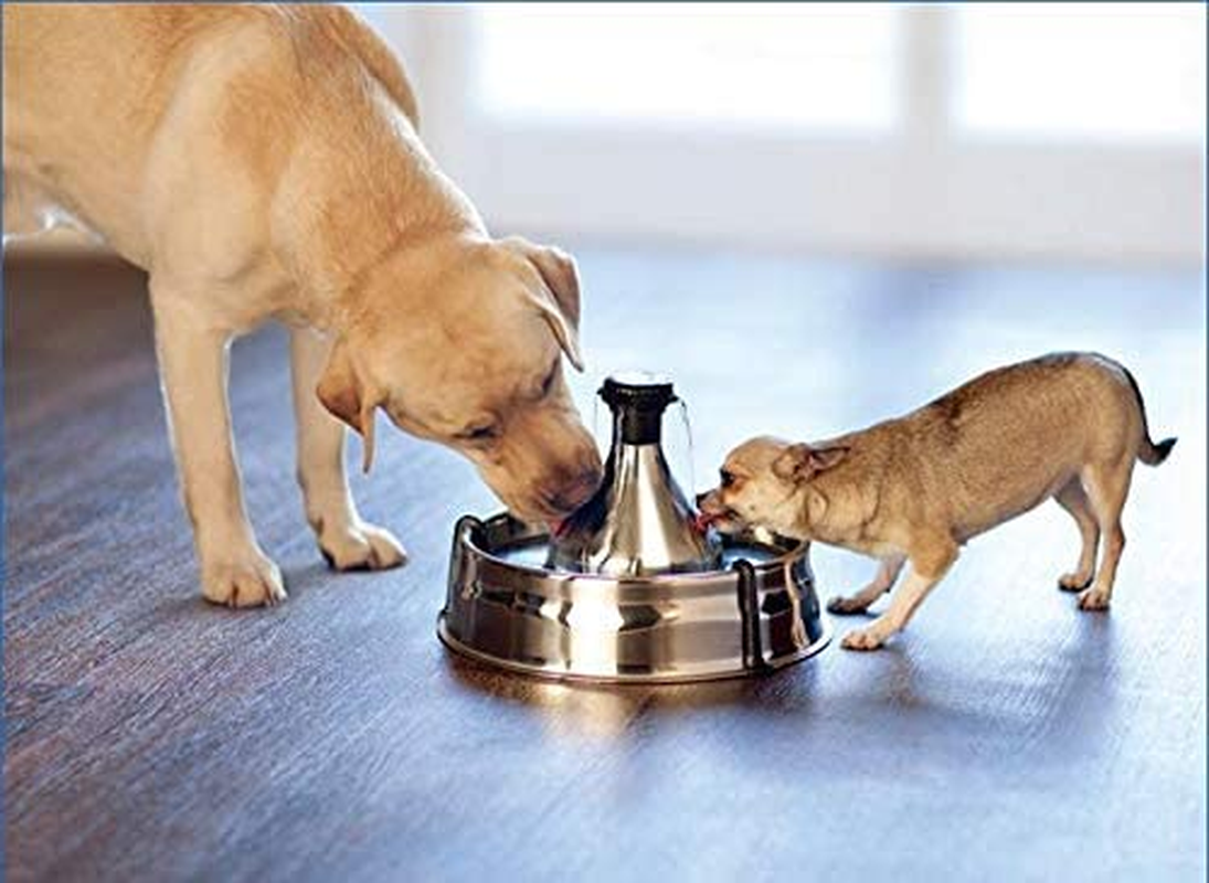 NEOUZA Premium Charcoal Filters Replacement Compatible for Petsafe Drinkwell 360 Stainless Multi-Pet Fountains, Pack of 12 image number 6