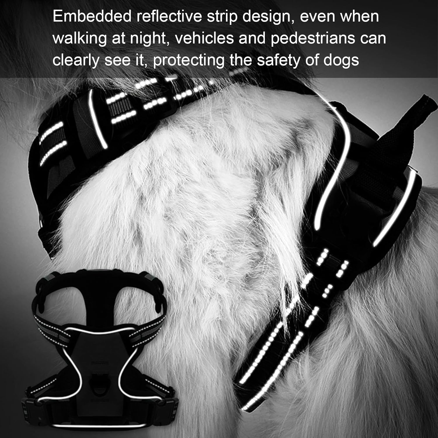 Safe Dog Harness and Cat Harness with Lead, Adjustable Harness for Small, Medium and Large Dogs, Escape Proof Cat Harness with Cat Lead (S) image number 2